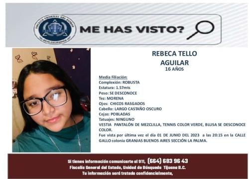 Pesquisa 2
