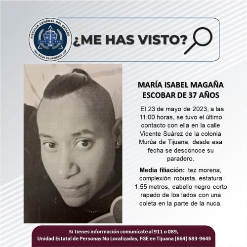 desaparecida-2