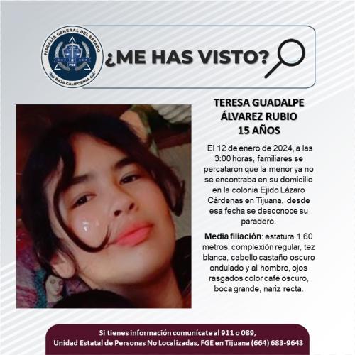 me-ha-visto-7